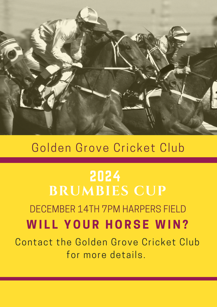 Brumbies Cup.png