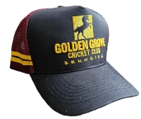 Trucker cap.webp